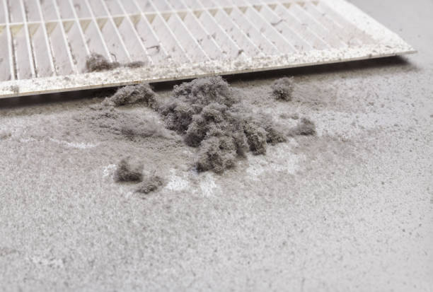 Best Local Air Duct Cleaning Services  in Keokea, HI