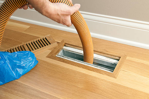 Best Air Duct Sanitizing Services  in Keokea, HI