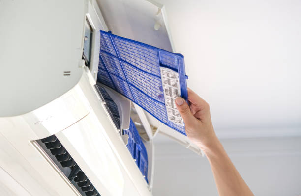 Best Affordable Duct Cleaning Services  in Keokea, HI